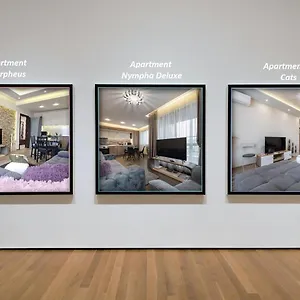 Apartment Cats, Warna